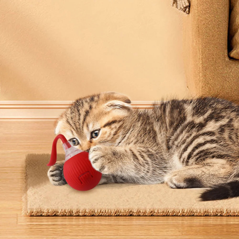 Cat Interactive Ball Toys Automatic Rolling Ball Rechargeable Fast Rolling Ball Anti-Depression Pet Toy for Indoor Cats