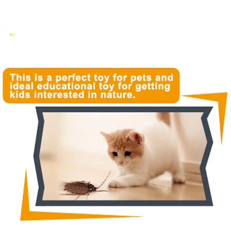 Pet Interactive Electric Cockroach Spider Cat Toy Battery Operated Vibration Pet Insect Playing Toy Holloween Joke Gifts
