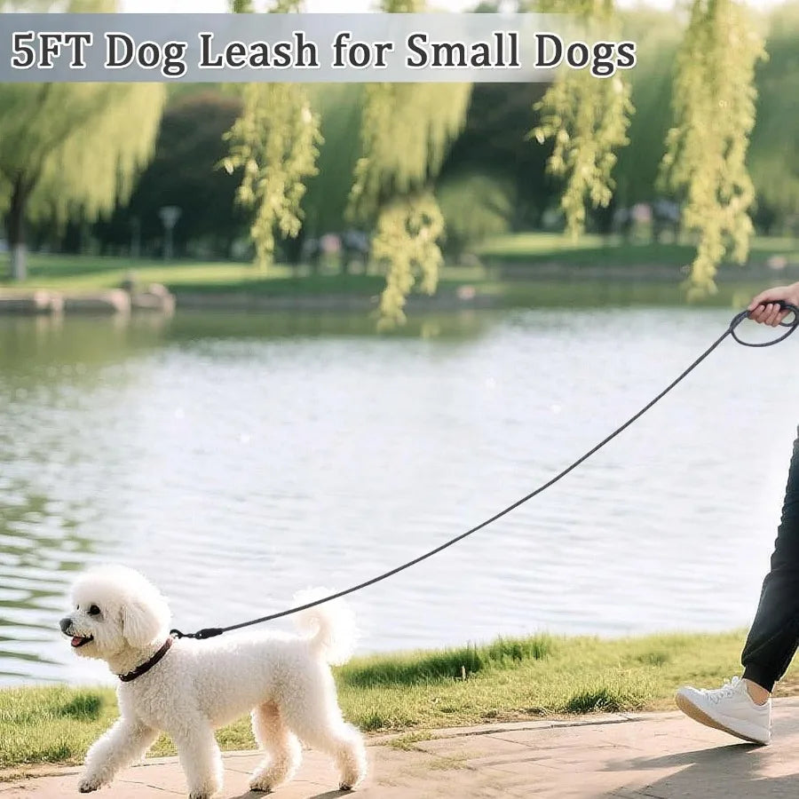 5 ft Puppy Leash for Small Dogs 1 4" Thin Rope Dog Leash with Easy to Use Hook Strong Lightweight for Chihuahua Yorkie Toy Bree