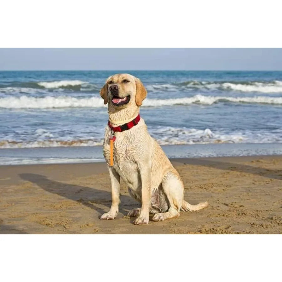 Short Dog Leash 2PCS Traffic Leashes 8" Pet Lead Training Pets Leads Dogs Grab Tab Orange and Sky Blue Dog Lead for Indoor Outd