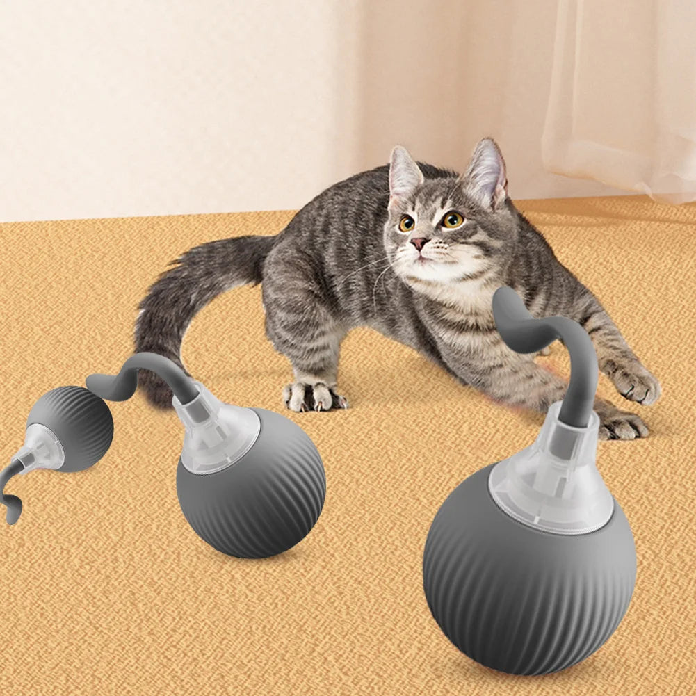 Cat Interactive Ball Toys Automatic Rolling Ball Rechargeable Fast Rolling Ball Anti-Depression Pet Toy for Indoor Cats