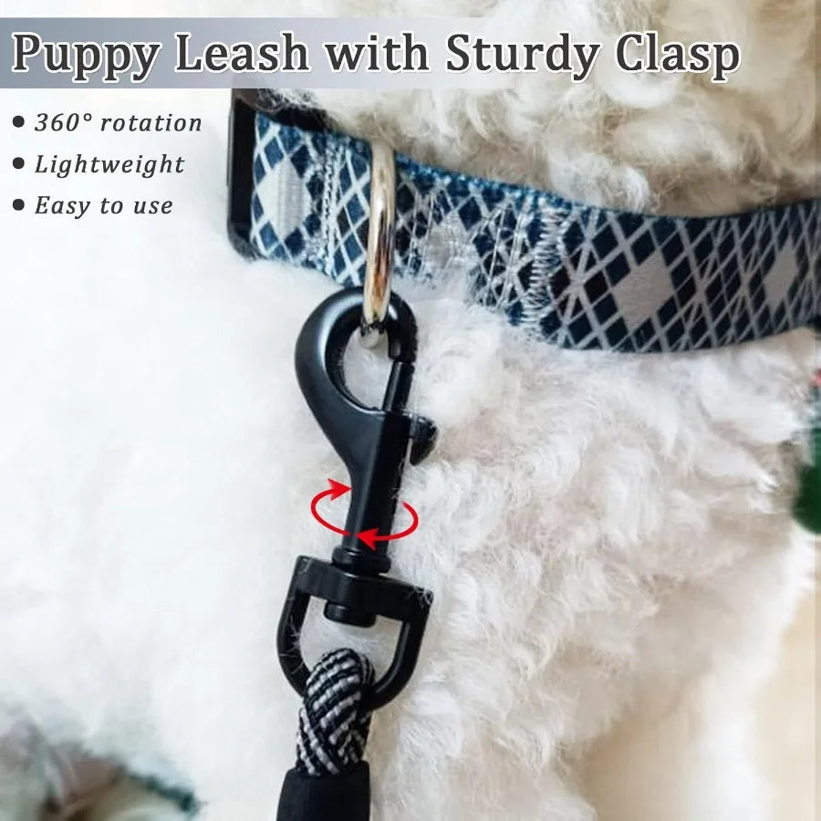 5 ft Puppy Leash for Small Dogs 1 4" Thin Rope Dog Leash with Easy to Use Hook Strong Lightweight for Chihuahua Yorkie Toy Bree
