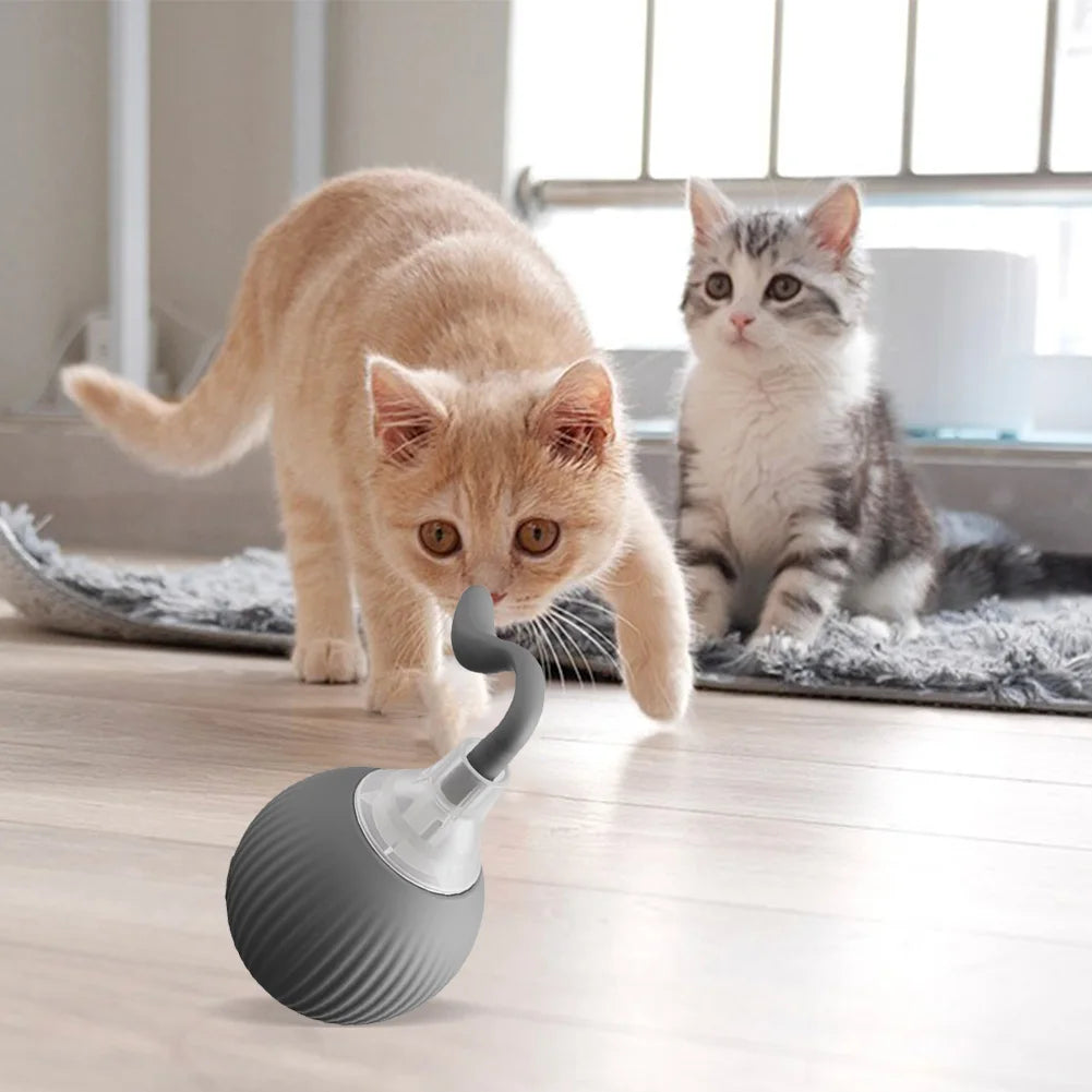 Cat Interactive Ball Toys Automatic Rolling Ball Rechargeable Fast Rolling Ball Anti-Depression Pet Toy for Indoor Cats