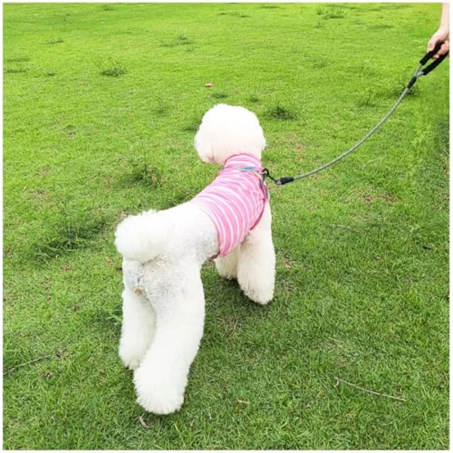 Heavy Duty Rope Dog Leash 3 4 5 6 7 8 10 12 15 FT Nylon Pet Leash Soft Padded Handle Thick Lead Leashes for Large Medium Dogs B