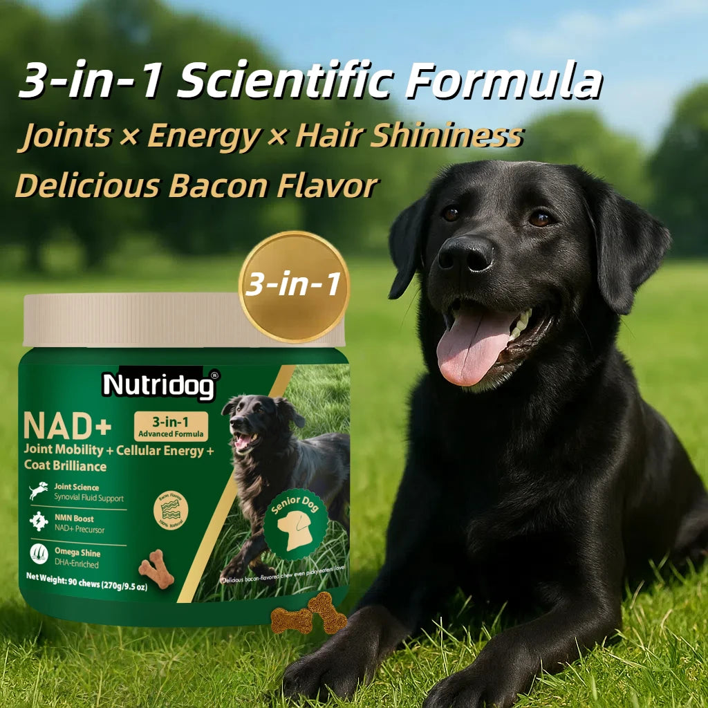 NUTRIDOG Senior Dog Vitamins Chews NAD Joint Mobility Cellular Energy Coat Brilliance Support for 3-In-1 Dogs Soft Chews
