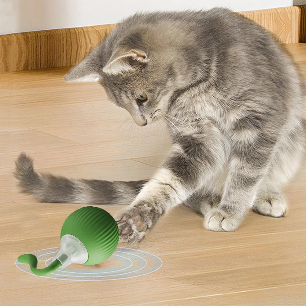 Cat Interactive Ball Toys Automatic Rolling Ball Rechargeable Fast Rolling Ball Anti-Depression Pet Toy for Indoor Cats