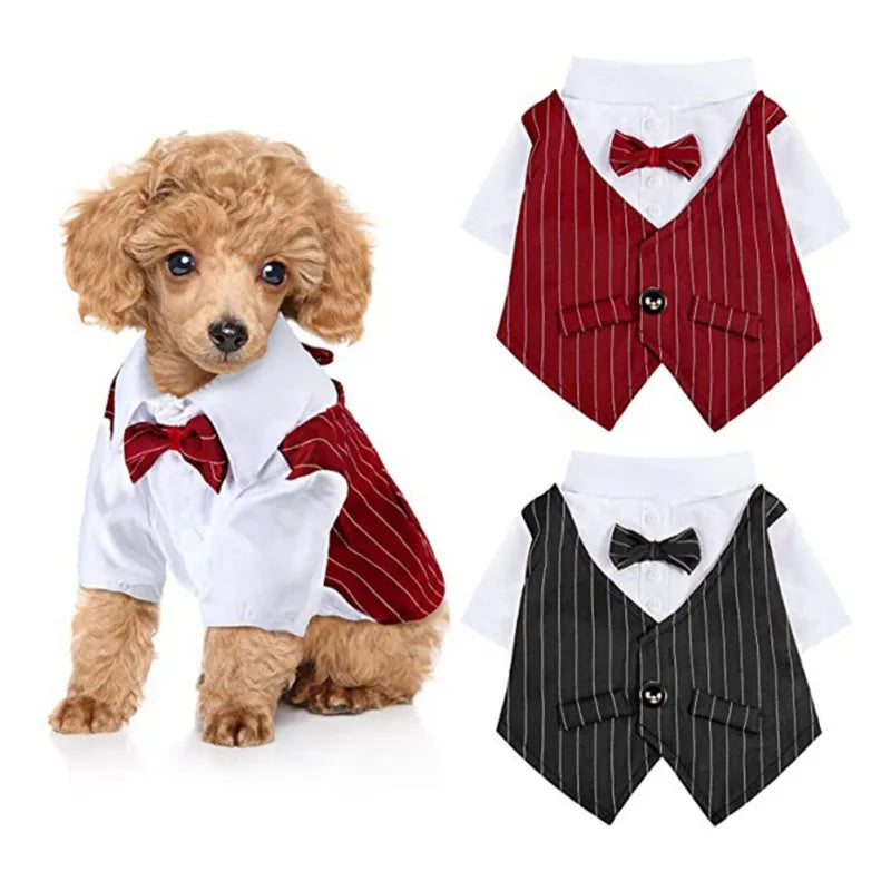 Gentleman Dog Tuxedo with Bow-tie - Spring/Summer Formal Outfit for Birthday & Wedding Parties