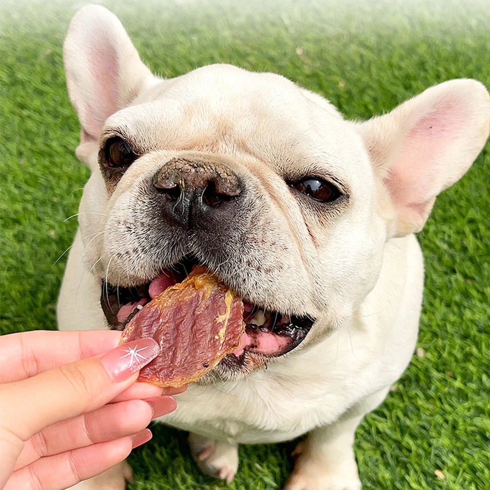 Grain-Free Chicken Gizzard Jerky For Dogs - All Natural Dog Treats for Small, Medium, & Large Dog - Made with Chicken Gizzard