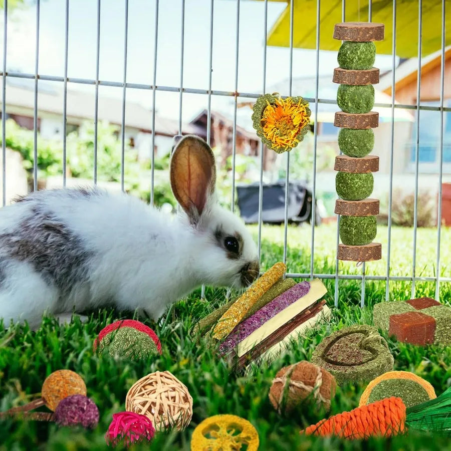 Natural Timothy Hay and Apple Wood Sticks for Small Pets Teeth Care Handmade Chew Toys Set of 27 Pieces Ideal for Rabbits Guine