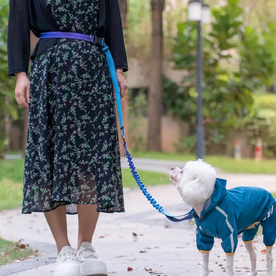 Handree Dog Leash with Bungee for Large Dogs Waist Belt and Car Seat Bel Blue