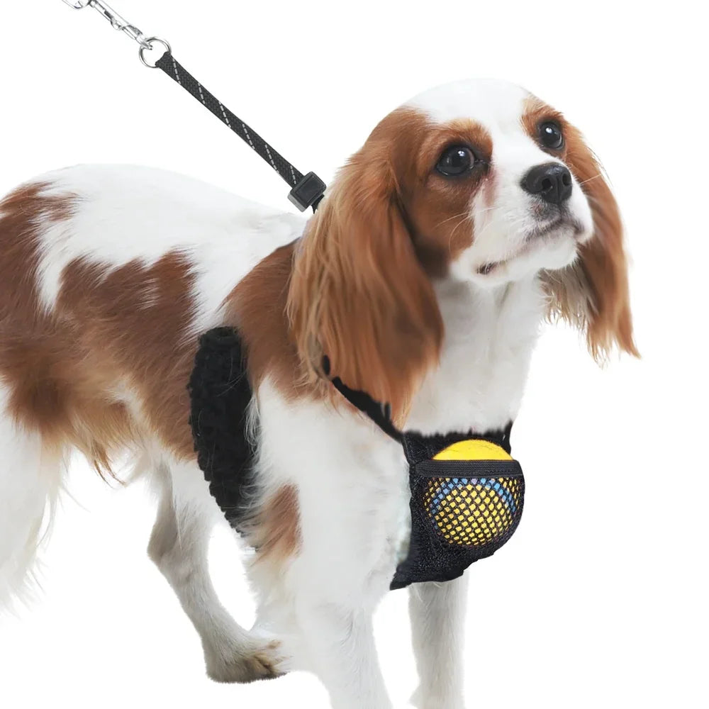 Non-Pulling Dog Harness with Storage Pouch Adjustable Reflective Lightweight Mesh Easy Step In Comfort Flex System Dogs